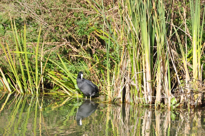 gallerie Clairmaraise