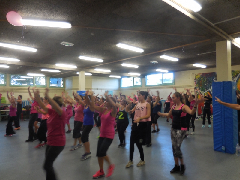 gallerie ZUMBA ROSEe