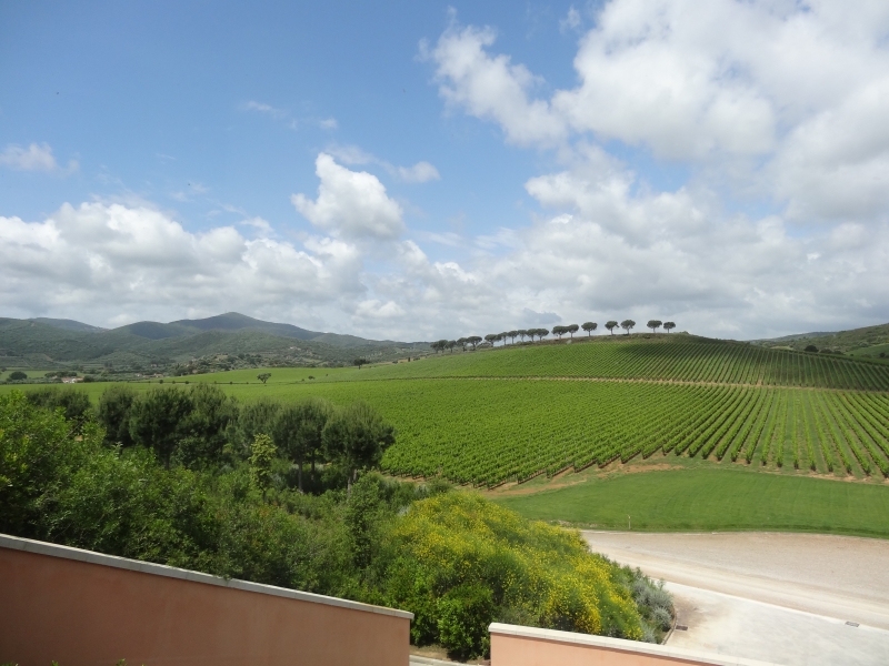 Jumelage avec le Club de Grosseto. Mai 2013